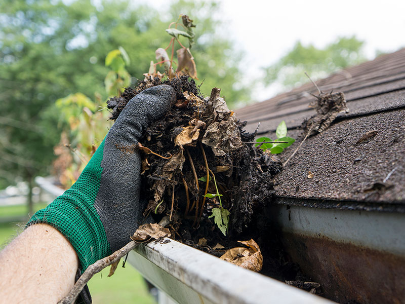 Gutter Cleaning